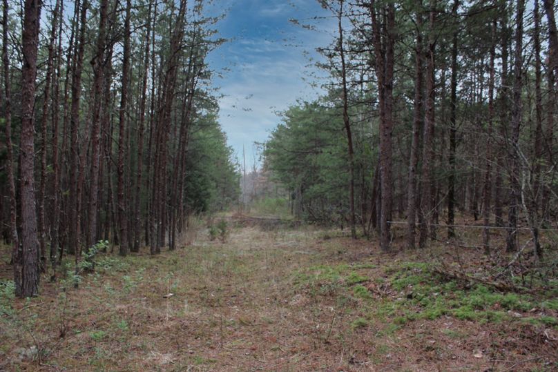 003 looking to the southwest down the service line cut