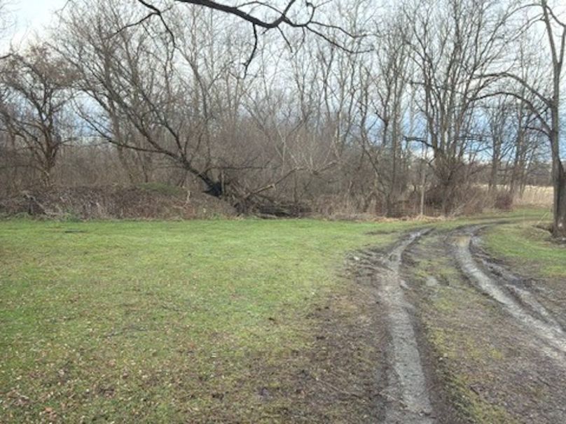 053F53BB-C946-45EE-AD7D-38063B20E9E2_4_5005_c