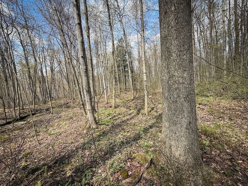 Cayuga_23.5_Demott_photos_26