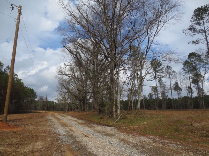 42E2EF37-F58A-4204-9397-29D3402E8D4D_1_105_c