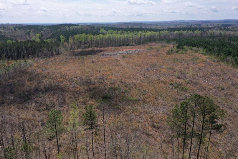 Copy of 200ftCardinal-7