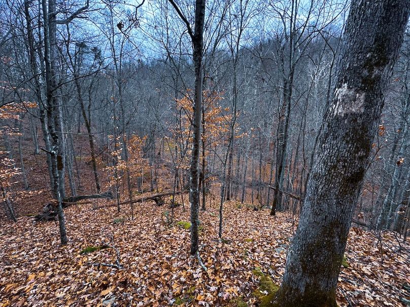 Ritchie, WV 100 AC Harper-38