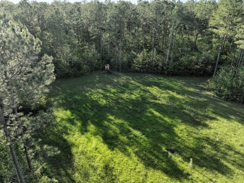 061AE723-30C9-4FDC-BC54-0CB578AA20AE_1_105_c