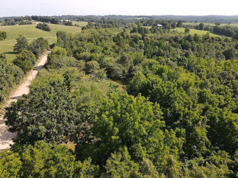 dji_fly_20240808_094906_286_1723128593187_photo