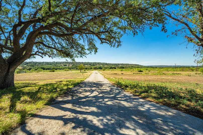 49-web-or-mls-DSC08949