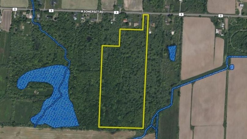 Land ID Wetlands