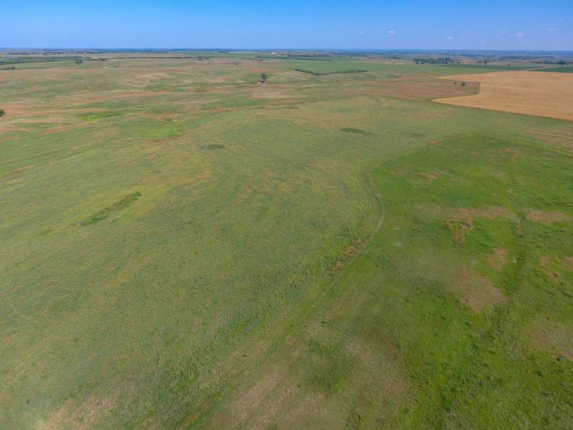 DJI_0587