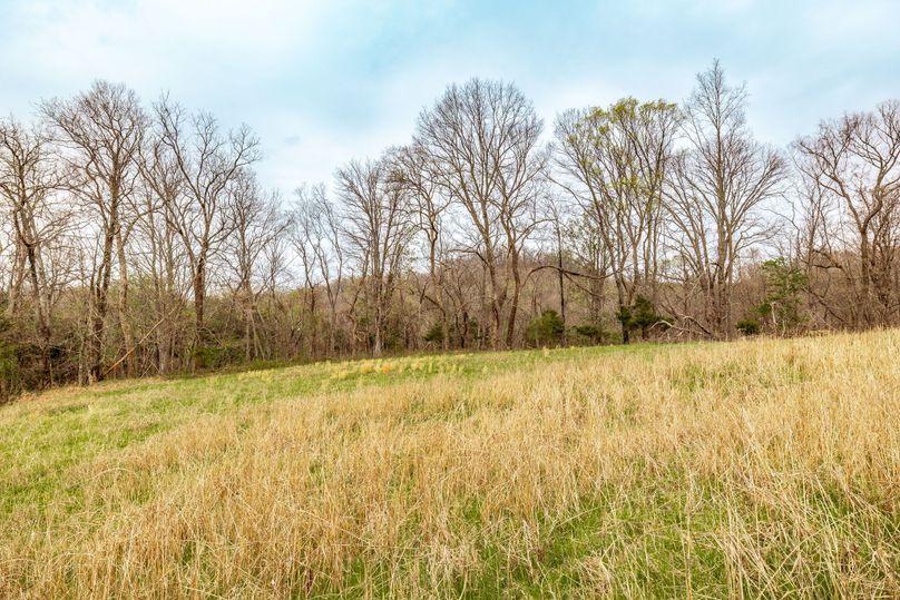 26-web-or-mls-Wolf Hill-4