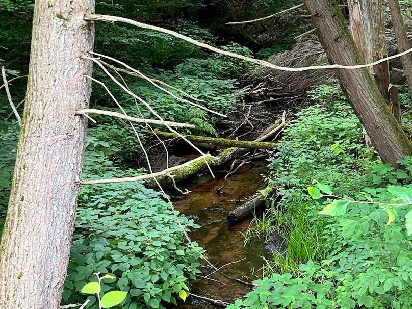 Oswego_133.72_Middleton_Photos_24