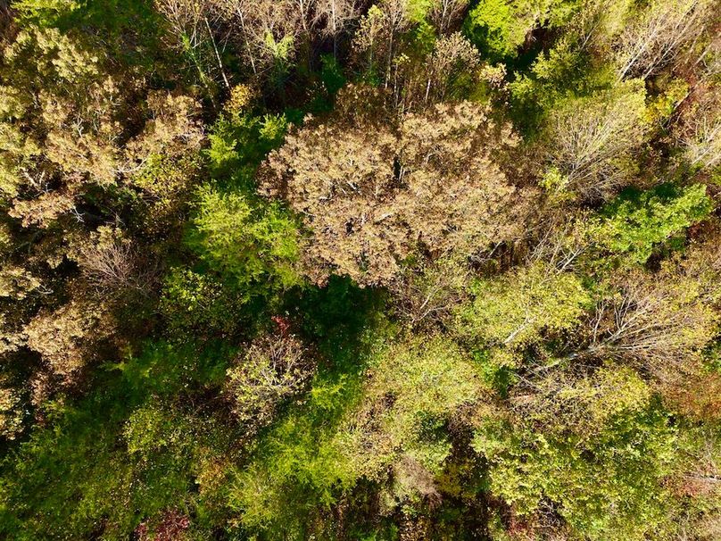 DJI_20251024090907_0153_D