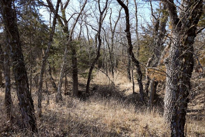 Ottawa Co, 199.7_063