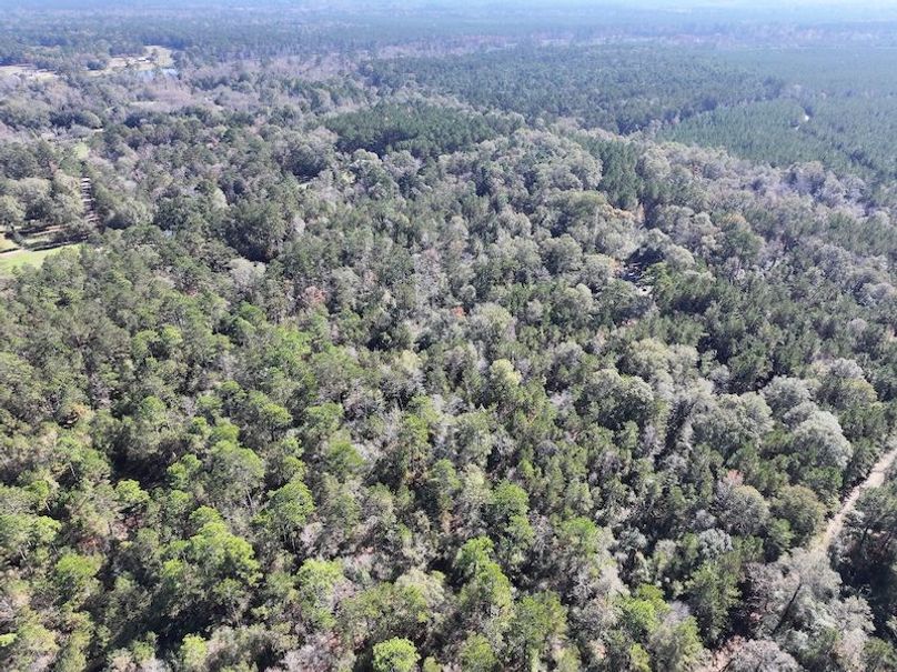 dji_fly_20251209_121728_0758_1765308501034_photo