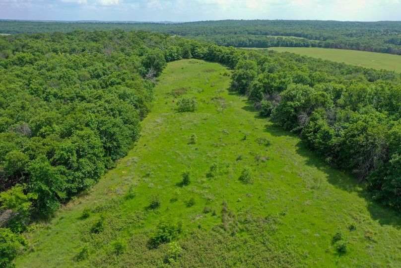 DJI_0308