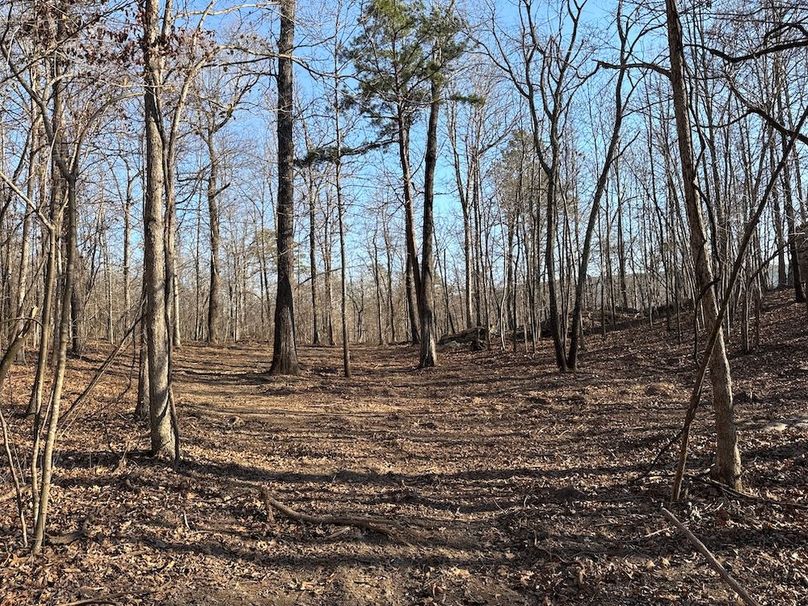 DJI_20260113_145753_598