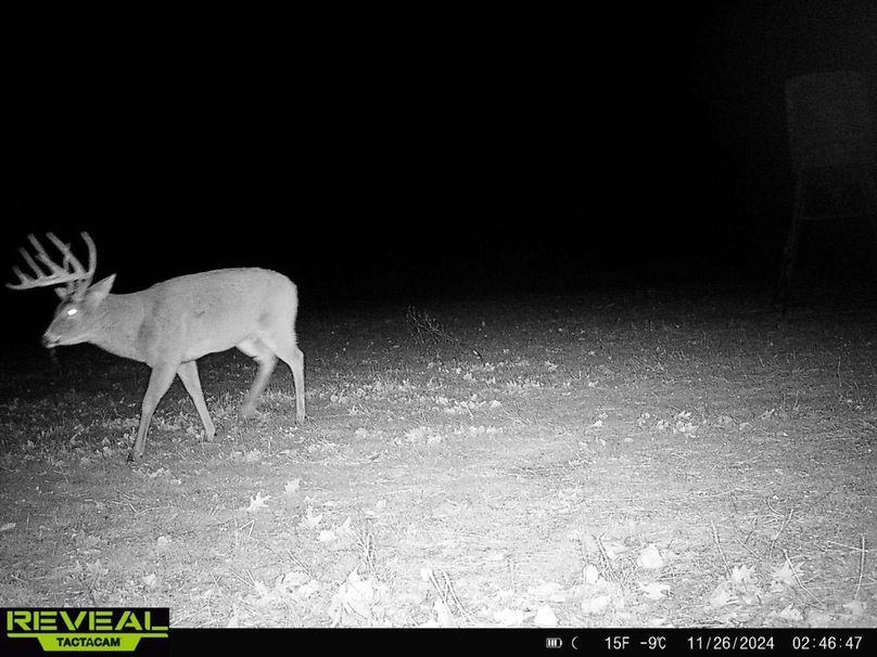 865814044743928-60-1-11262024024646-HD-W1007133