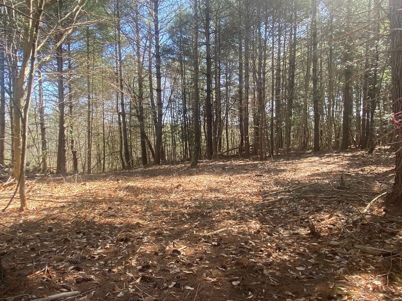 006 Homesite