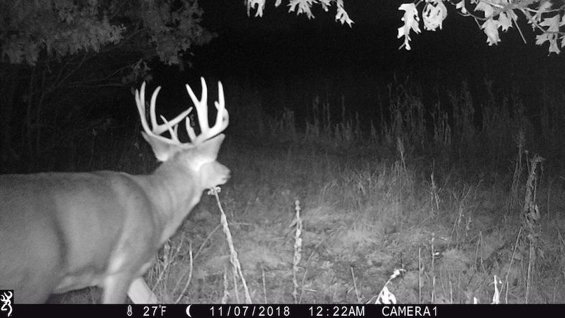 Sauk 174 Trailcam - 63
