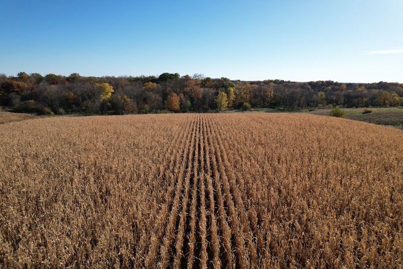 DJI_0123