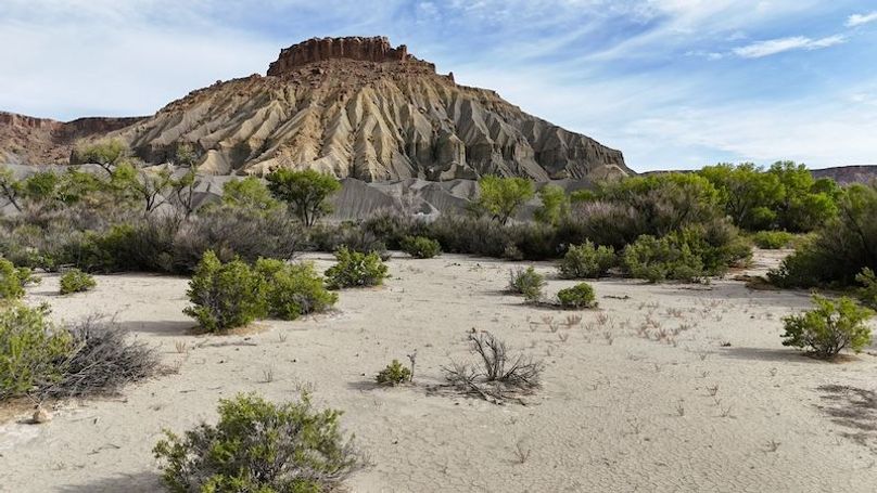 DJI_20250517083957_0002_D