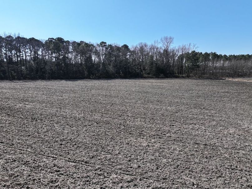 DJI_20260201121248_0408_D