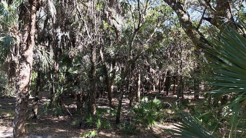 DJI_20260221151326_0354_D