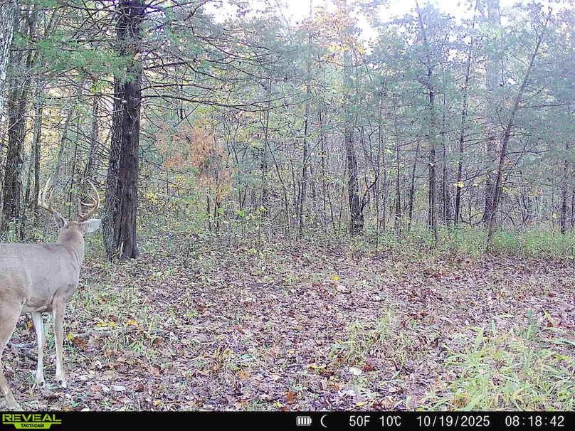 860322065093244-100-2-10192025084614-HD-SYFW6167