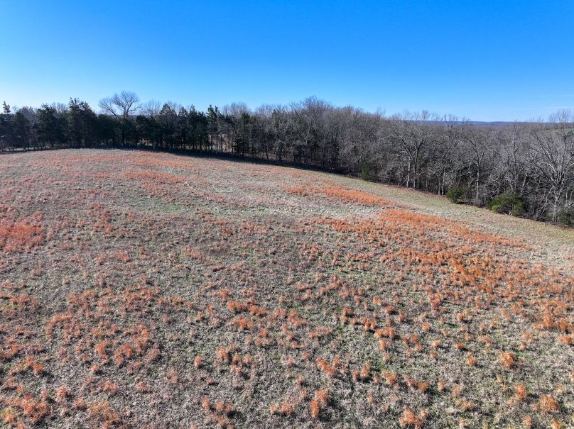 DJI_20260317093704_0989_D