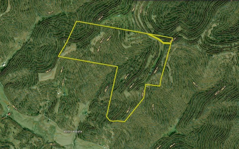 Screenshot 2025-07-18 at 11.51.36 AM