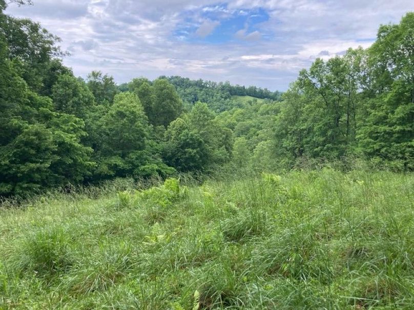 069 looks like time to turn the sheep in