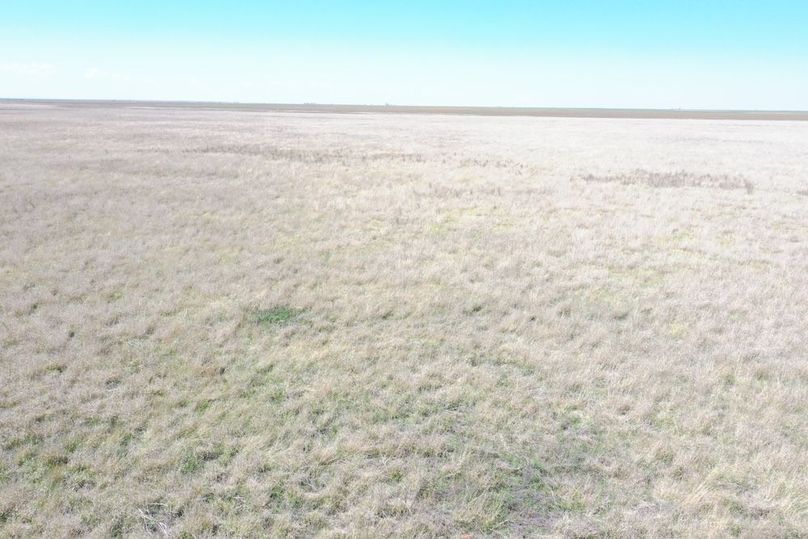 DJI_0658