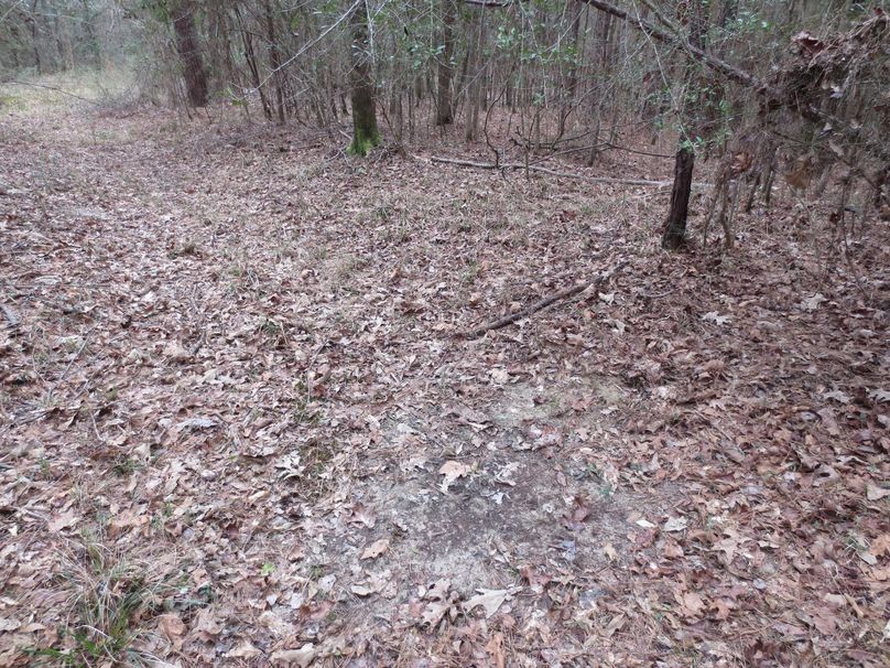 B9388337-CD8F-4D21-9F5A-C7C4885018D4