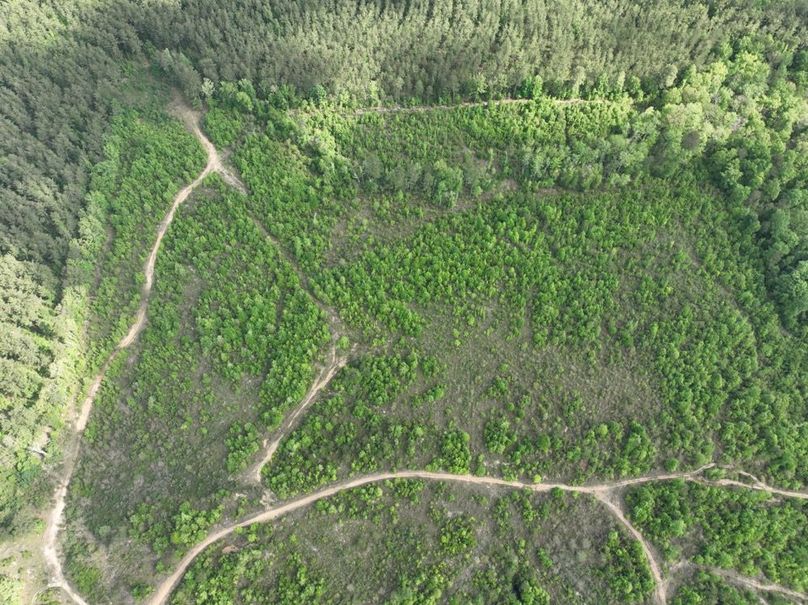 dji_fly_20260415_105004_382_1776345125320_photo