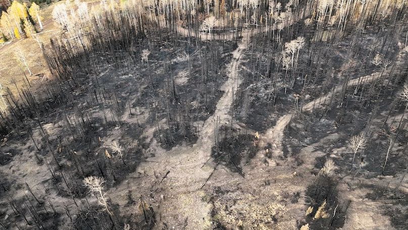 DJI_20250927082626_0025_D