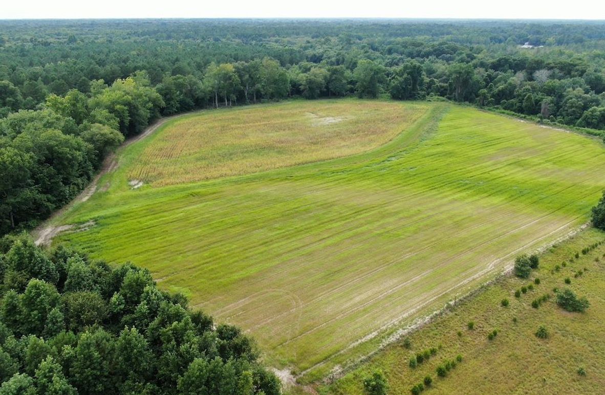 765F1A6A-32B9-4C1E-AF01-4E9A819EF9D0