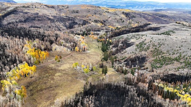 DJI_20250927084747_0088_D