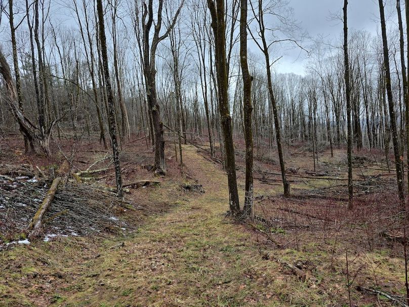 photo_2bafecdd-39cc-44d7-83bc-76d800cbe0cf