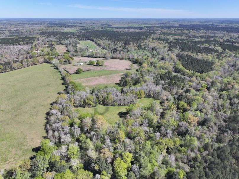 dji_fly_20260317_092254_0403_1773768876526_photo