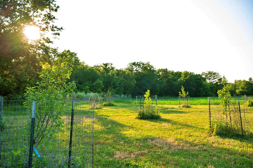 Harrison MO 480 Pro Photo_177 (13)