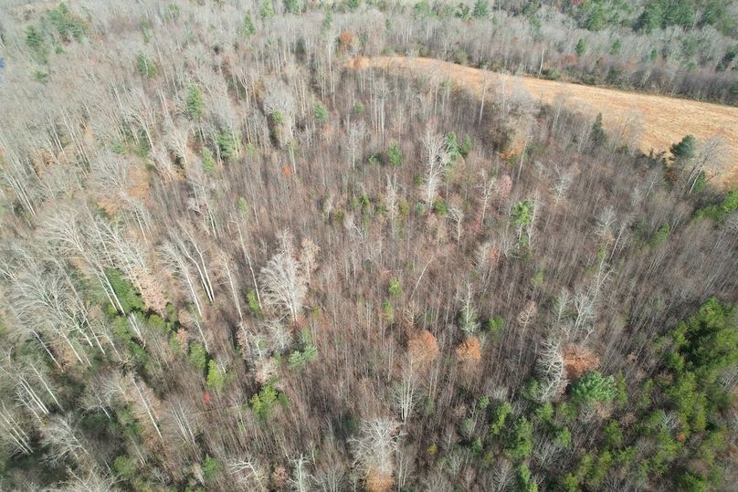 dji_fly_20251120_024418_947_1763686297599_photo