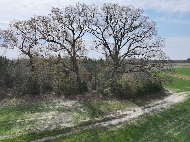 DJI_20260303064444_0580_D