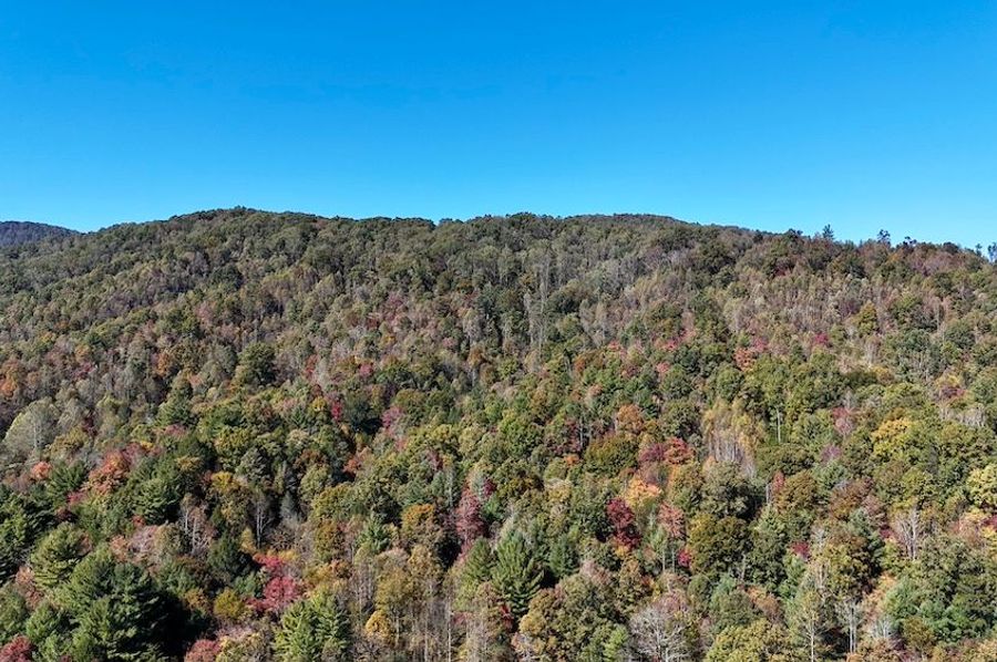 dji_fly_20241021_131202_0109_1729545269447_photo