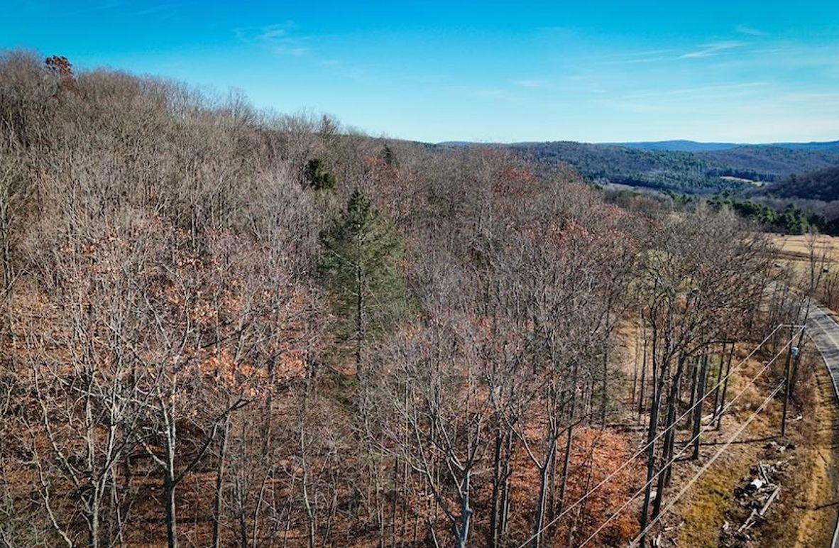 Chemung_31.75_Seymour_South_Photos_3