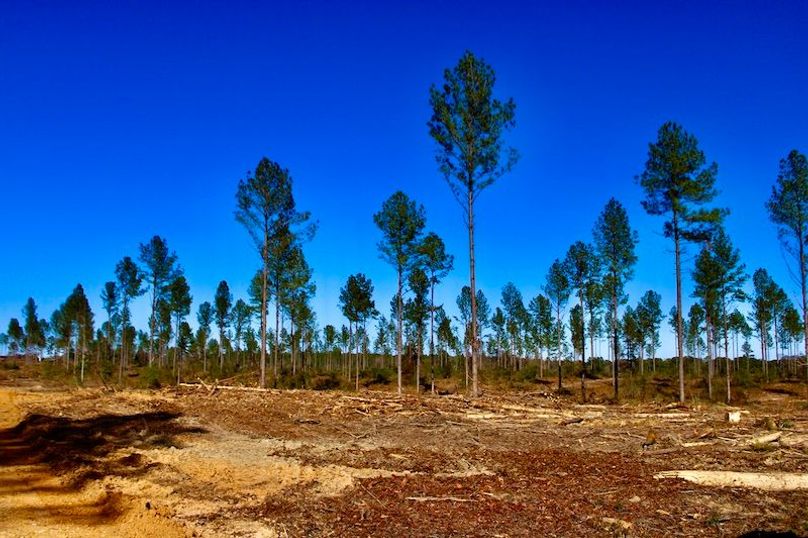 6912141C-D966-4D9A-8F19-CA543650C436_1_201_a