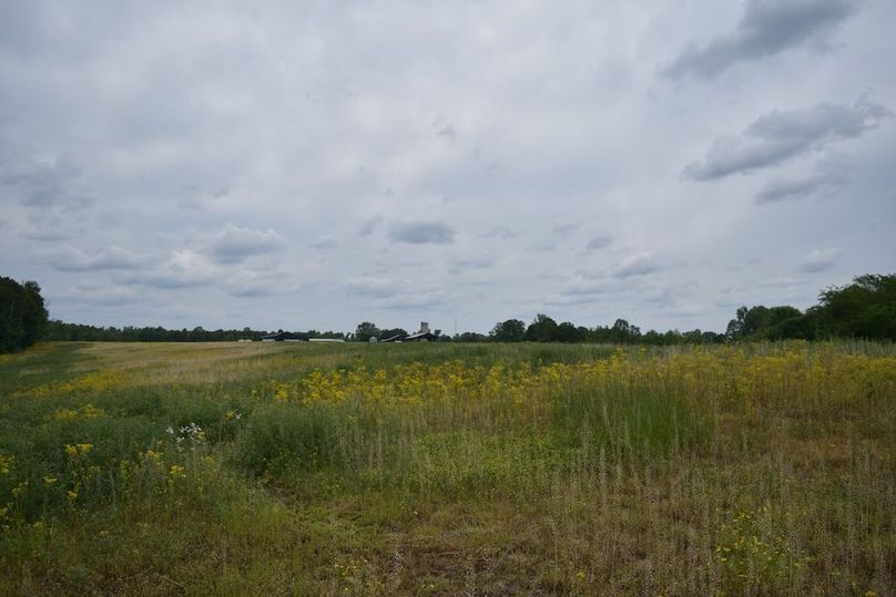 DSC_2596