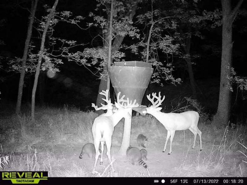 df1e5dd8-018c-4dfe-a2e3-103f1391977e