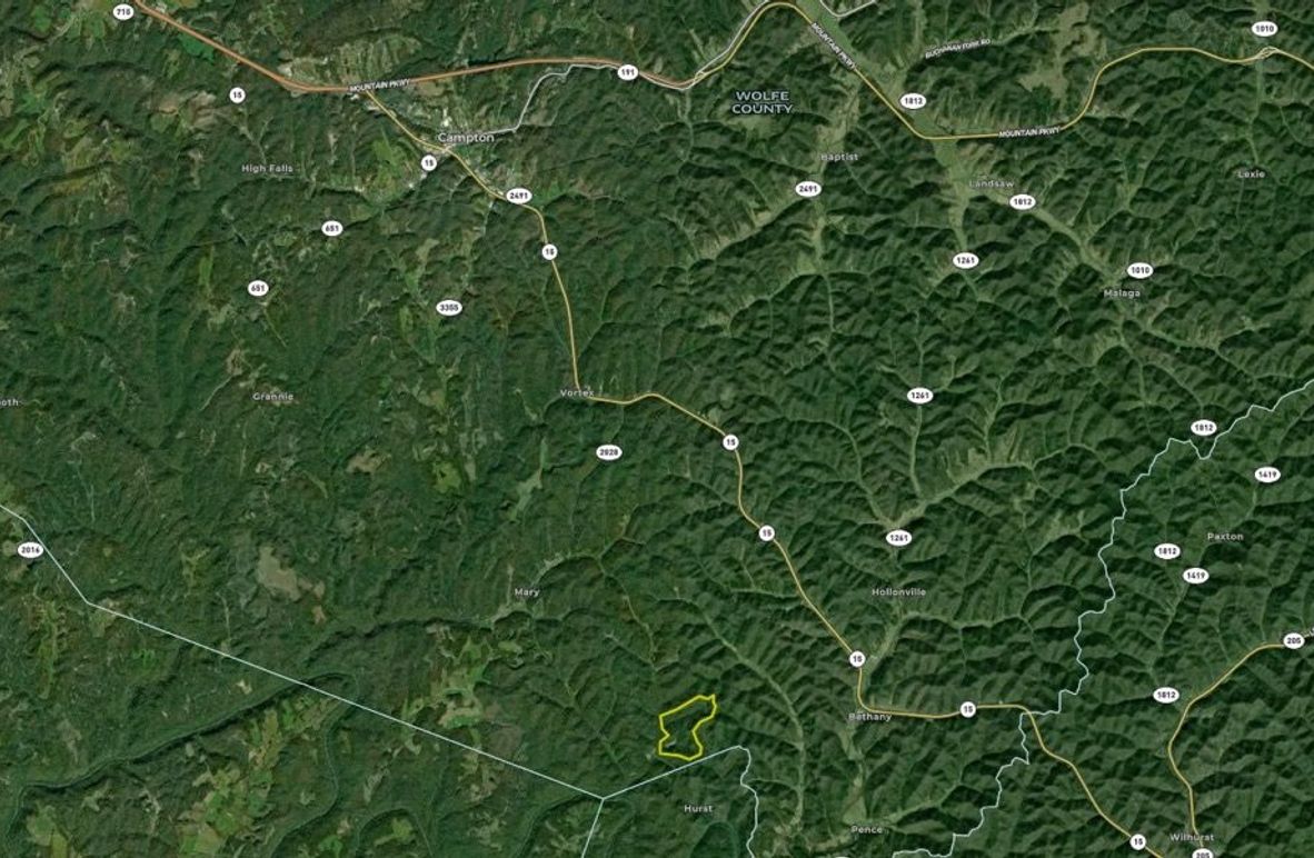 065 Wolfe 132 Land ID map zoomed out
