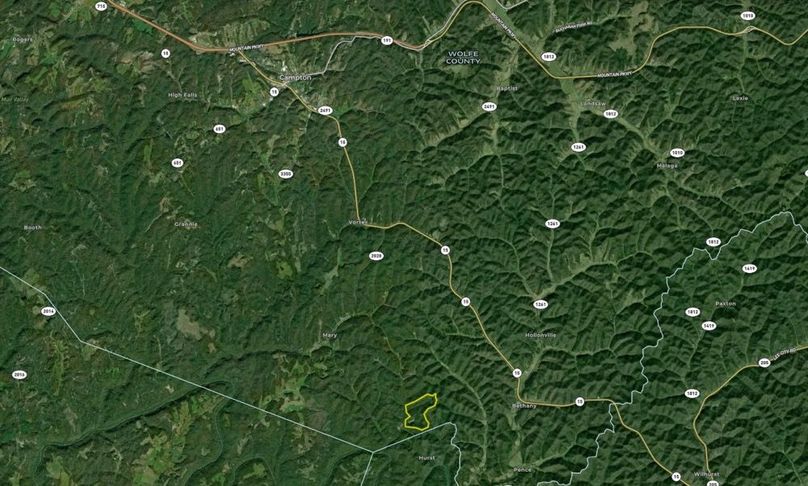 065 Wolfe 132 Land ID map zoomed out