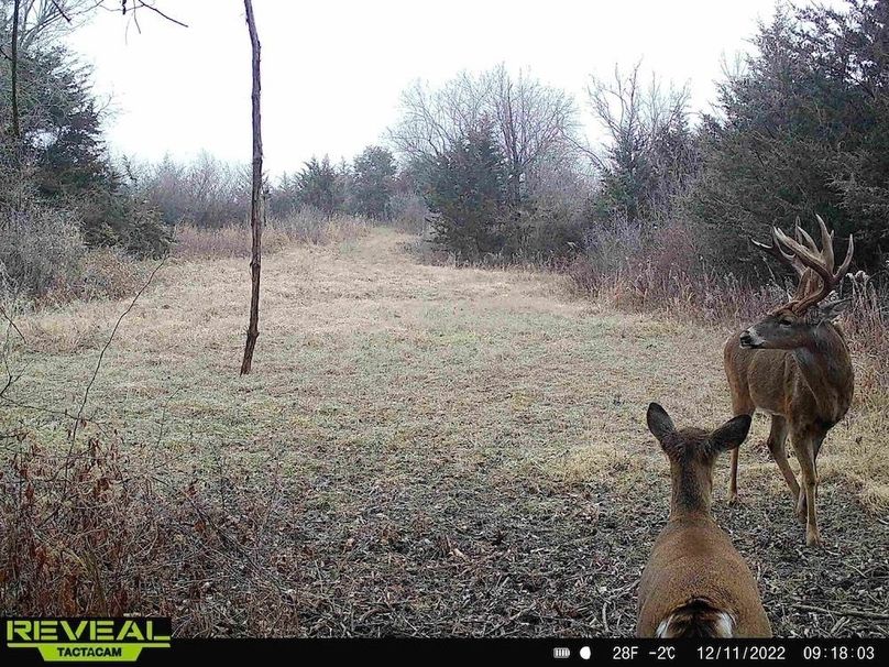 865814040391144-100-1-12112022091802-HD-W1005736