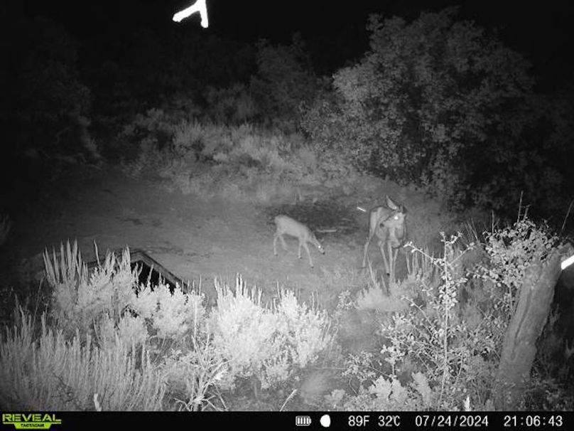 860516060007964-100-2-07242024210642-V-W1002318