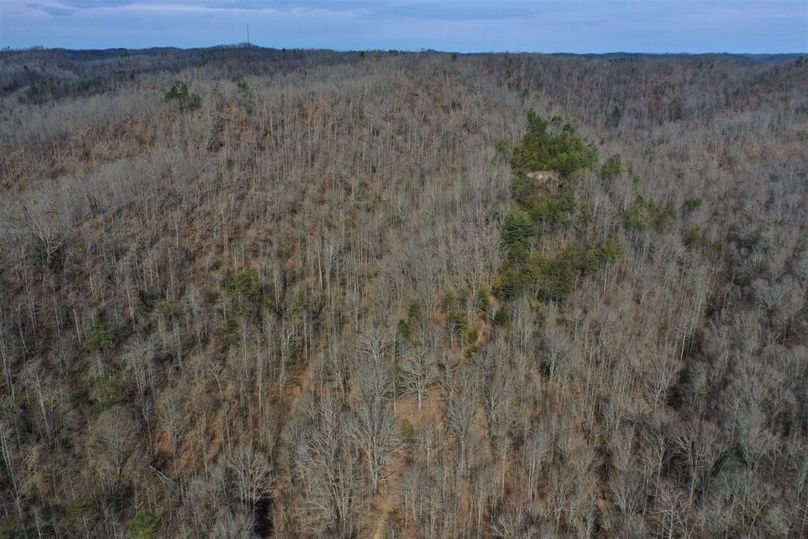 019 aerial drone shot from the southeast corner of the property